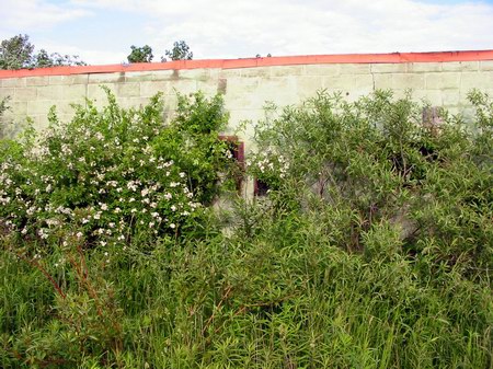 Burnside Drive-In Theatre - Concession From Rear - Photo From Water Winter Wonderland (newer photo)